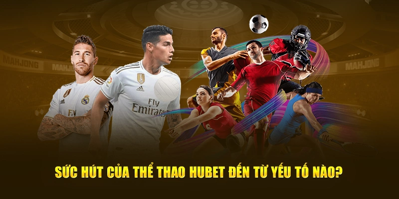 Sức hút của thể thao Hubet đến từ yếu tố nào?